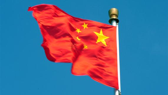 动物帮帮忙保卫家园